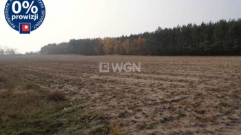 Grunt inwestycyjny na sprzedaż Konin, Centrum